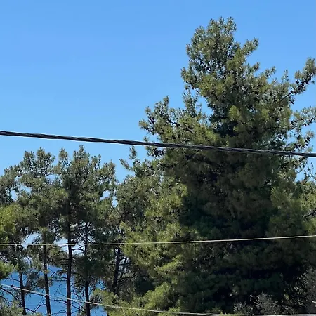 Falena Luxury Otel Kalyves Polygyrou