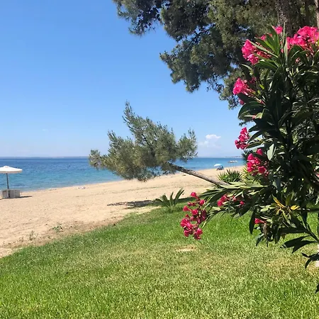 Falena Luxury Otel 4*